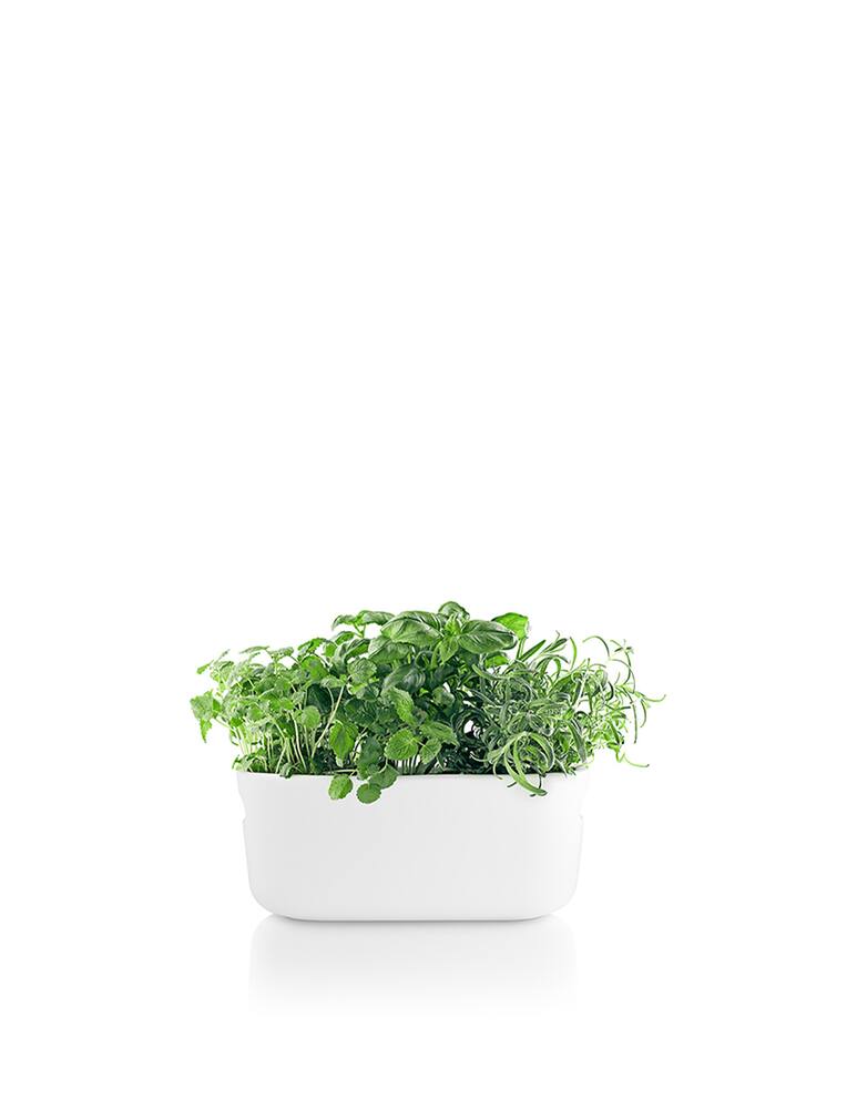 rinascente Eva Solo Self-watering herb organiser - White