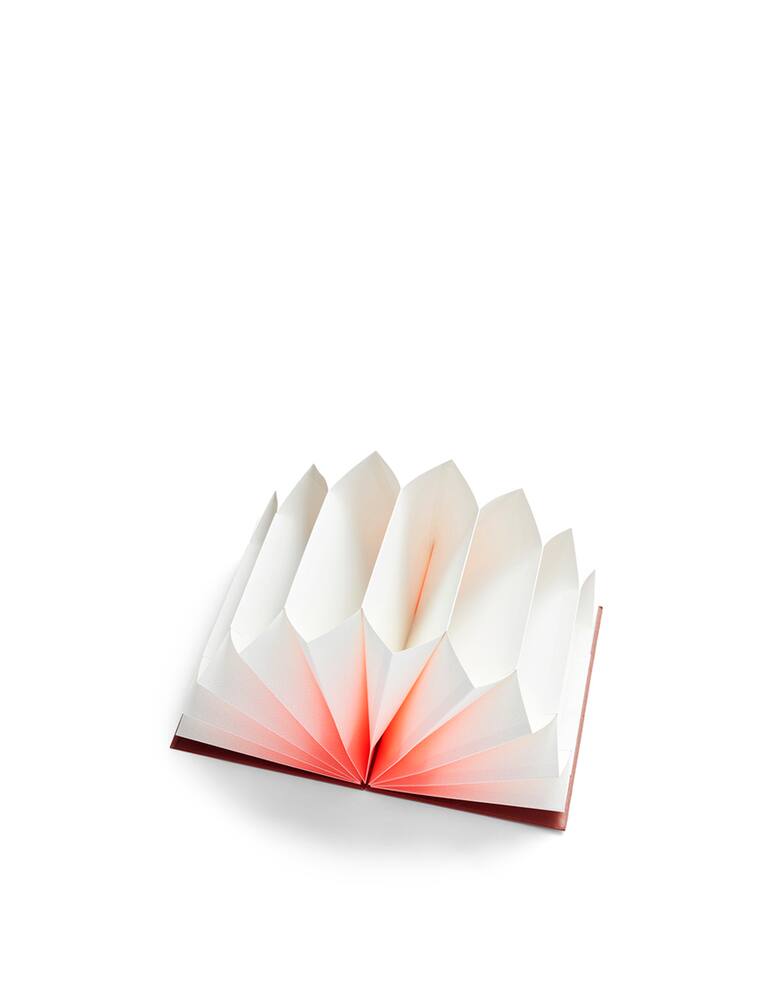 rinascente Hay Plissé A4