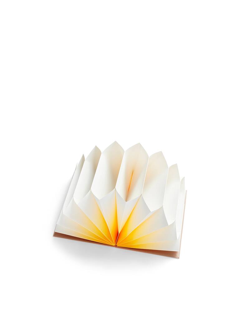 rinascente Hay Plissé A4