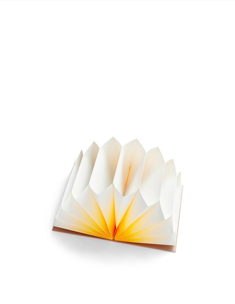 rinascente Hay Plissé A4