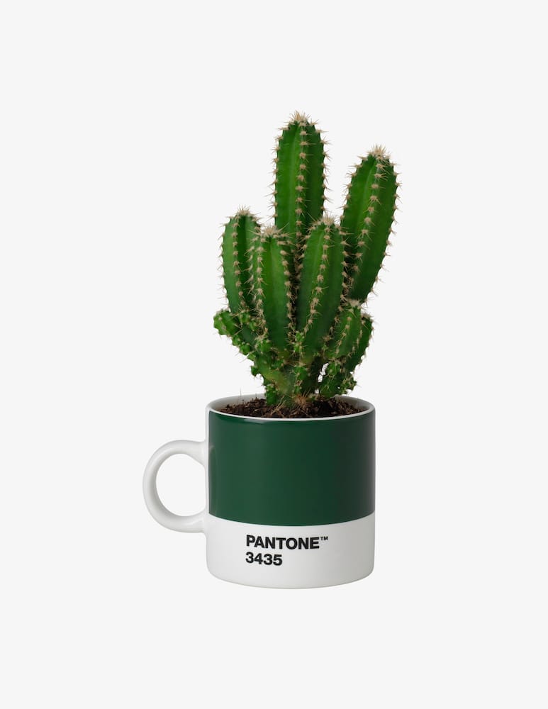 Pantone Espresso Cup - picture 1 Pantone Espresso Cup - picture 1