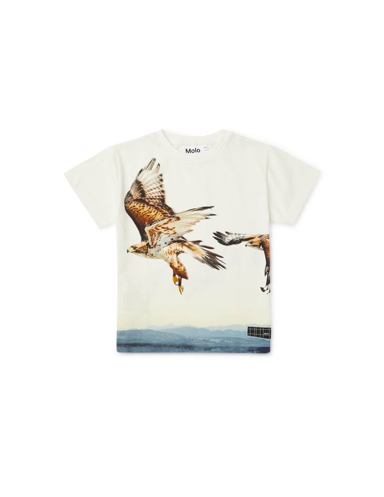 Molo Cotton short sleeve t-shirt - picture 1 Molo Cotton short sleeve t-shirt - picture 1