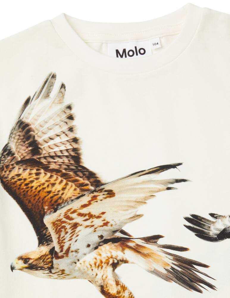 Molo Cotton short sleeve t-shirt - picture 2 Molo Cotton short sleeve t-shirt - picture 2