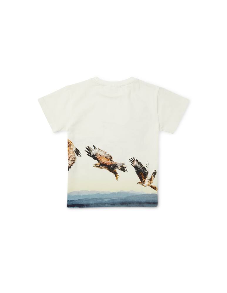 Molo Cotton short sleeve t-shirt - picture 3 Molo Cotton short sleeve t-shirt - picture 3