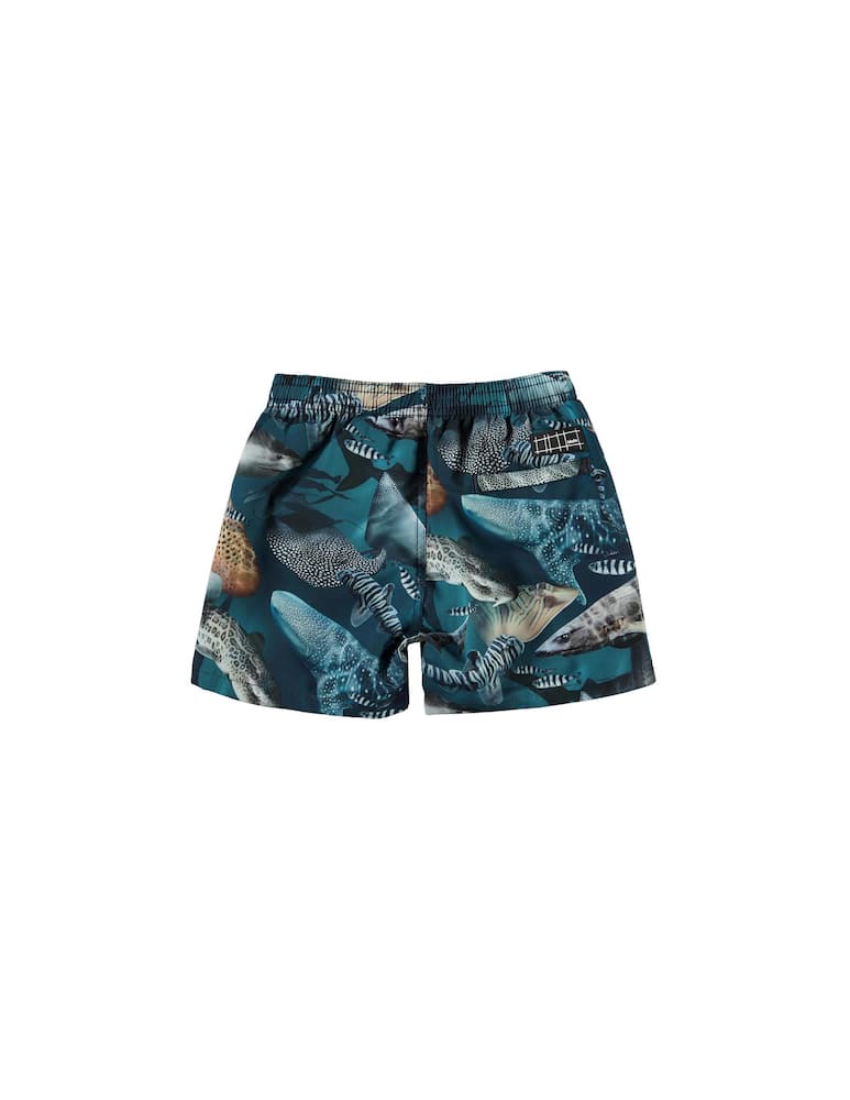 rinascente Molo Niko boardies - Multicolor