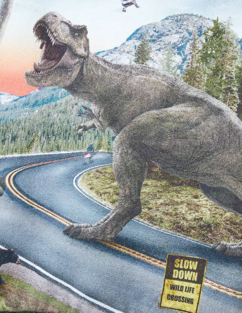 rinascente Molo Miksi sweatshirt - Multicolor