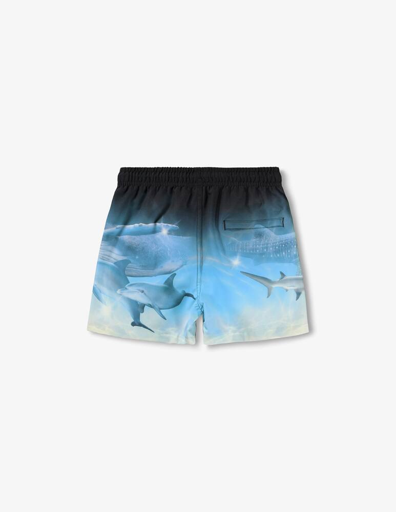 Molo Costume mare Niko Swimwear - immagine 2 Molo Costume mare Niko Swimwear - immagine 2