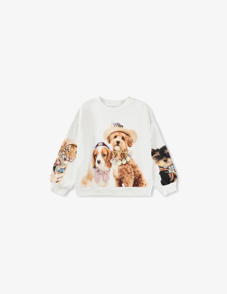 rinascente Molo Puppy pals sweater