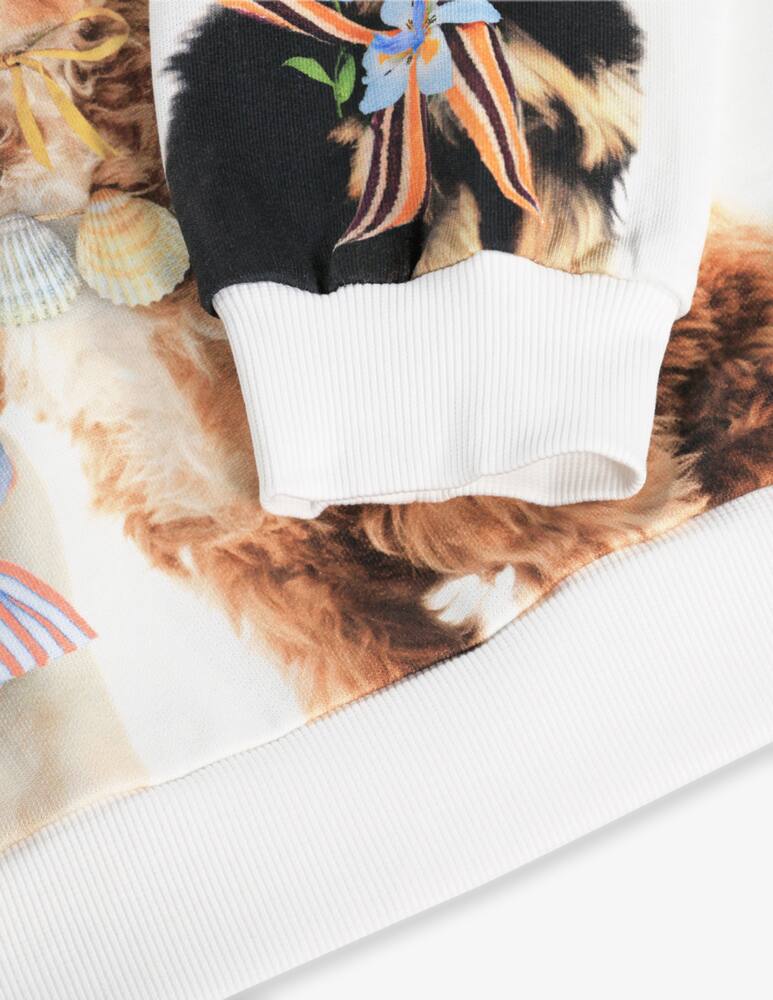 rinascente Molo Puppy pals sweater