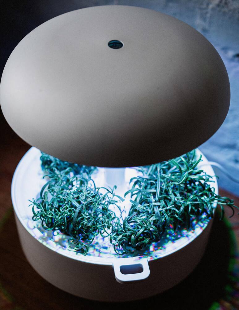 rinascente Plantui 3E Smart Garden