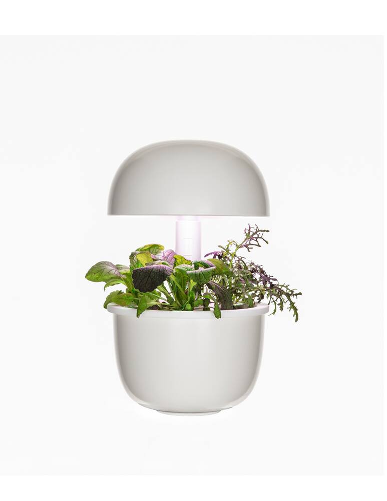 rinascente Plantui 3E Smart Garden