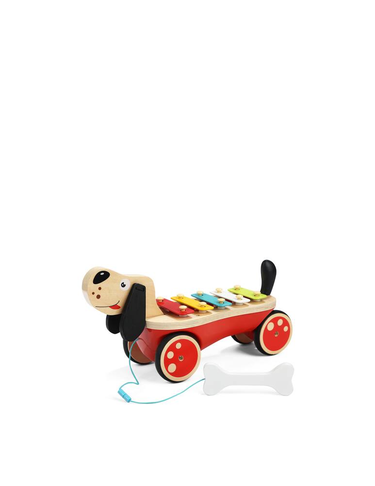 rinascente Top Bright Puppy Pull And Xylophone Toys - Multi