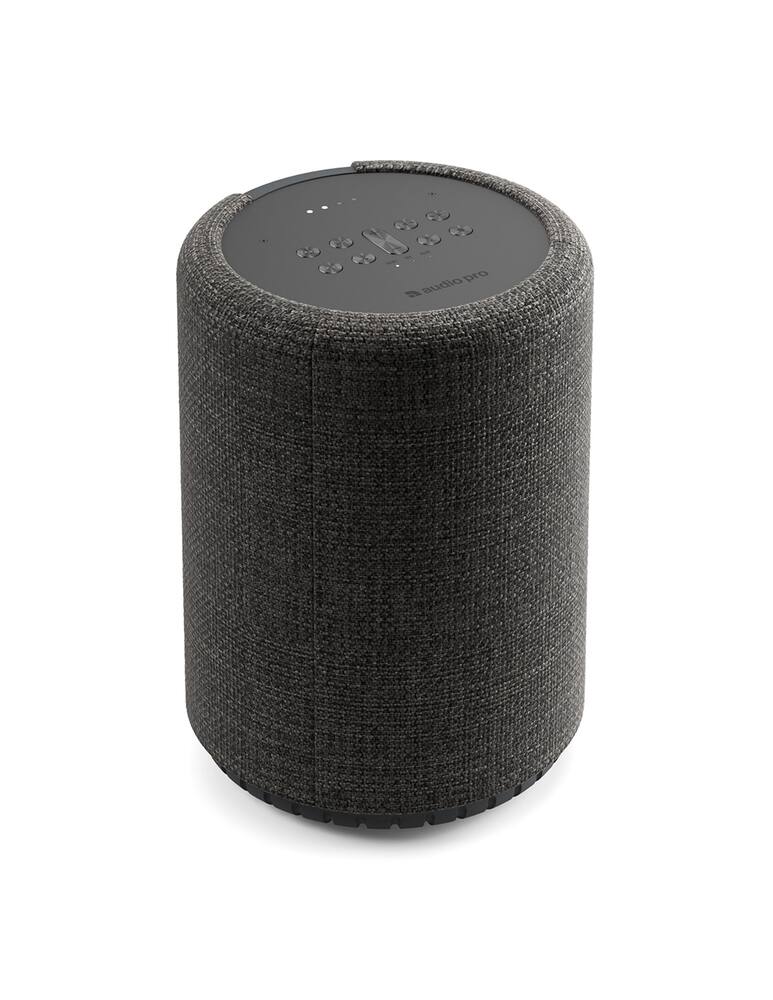 rinascente Sennheiser Audio Pro G10 Compact Altoparlante - Grigio