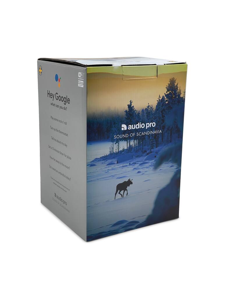 rinascente Sennheiser Audio Pro G10 Compact Altoparlante - Grigio