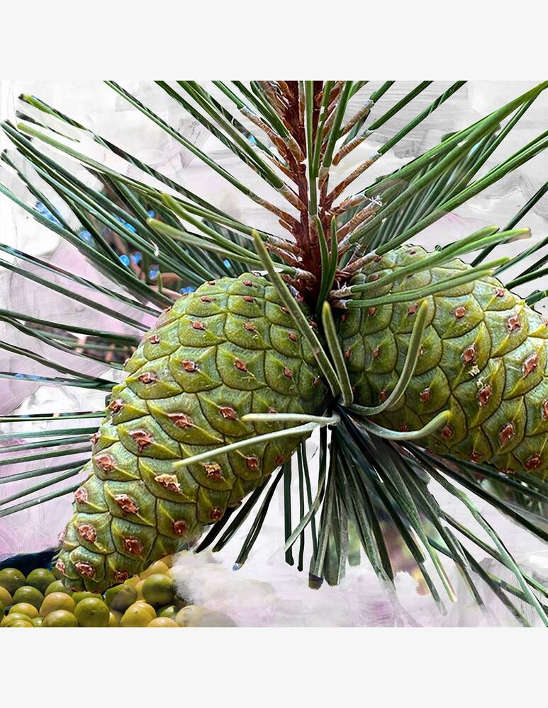 rinascente Byredo Gypsy Water Eau de Parfum