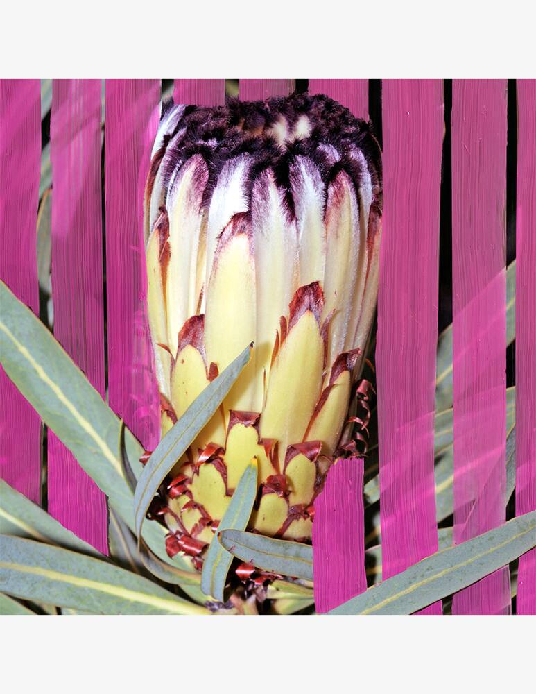 rinascente Byredo Inflorescence Eau de Parfum