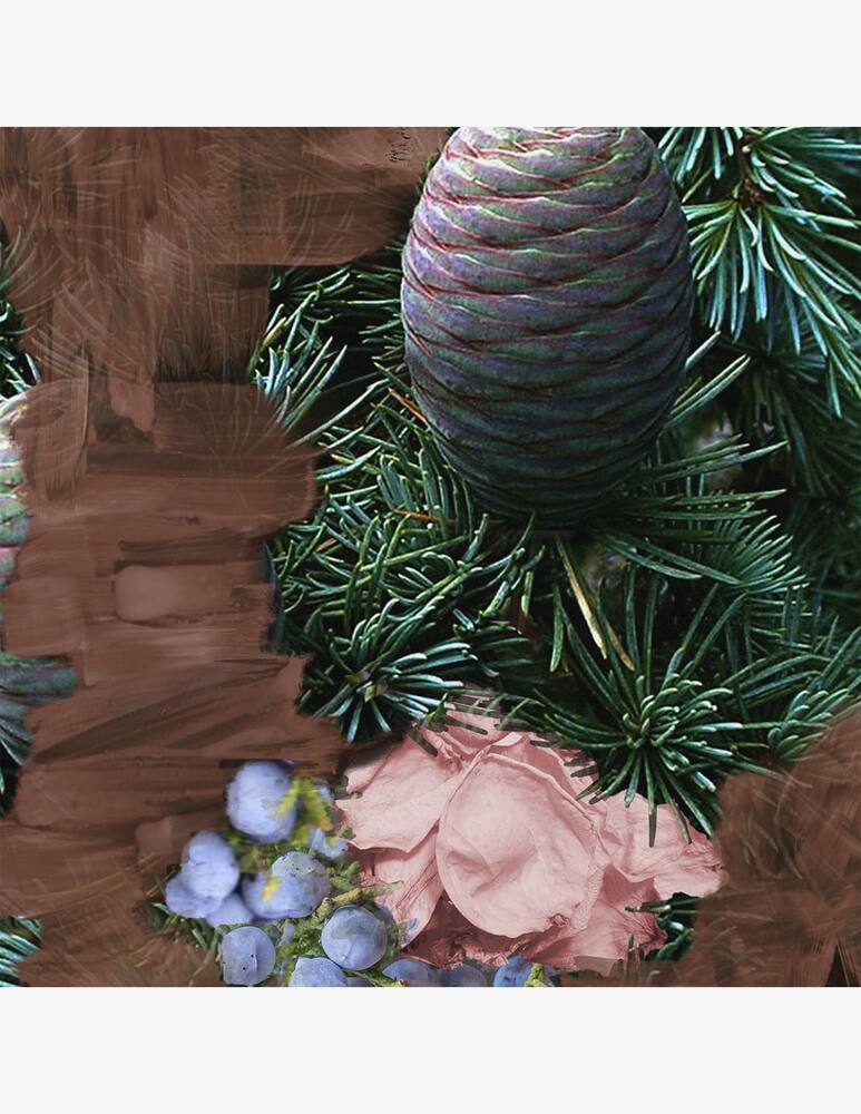 rinascente Byredo Super Cedar Eau de Parfum