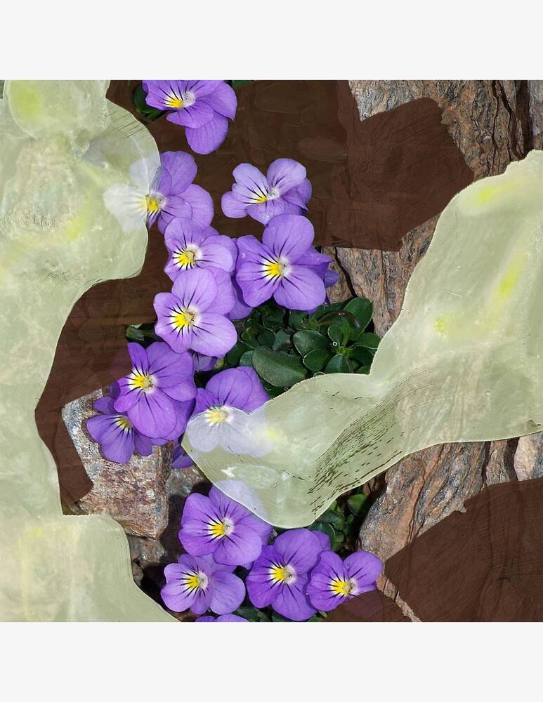 rinascente Byredo 1996 Eau de Parfum