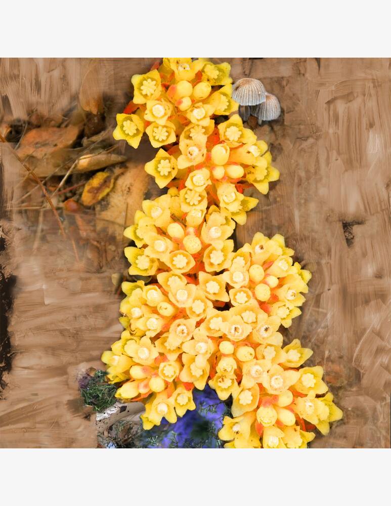 rinascente Byredo De Los Santos Eau de Parfum