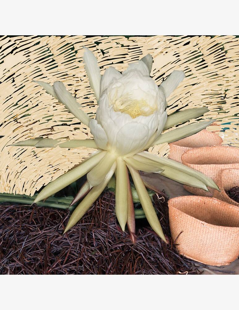 rinascente Byredo Vanille Antique Perfume Extract