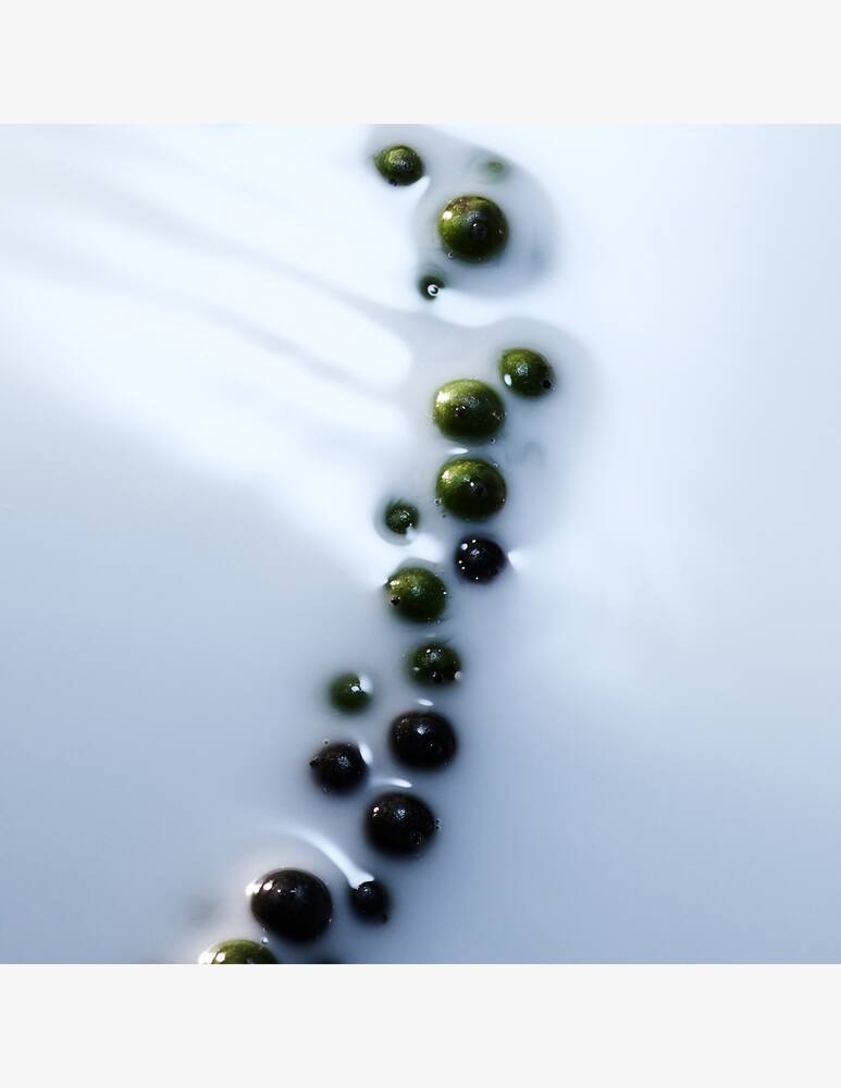 rinascente Byredo Blanche Absolu de Parfum