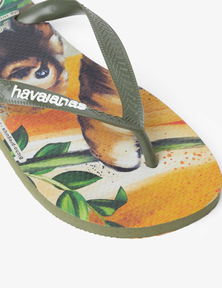 rinascente Havaianas Ipe flipflops