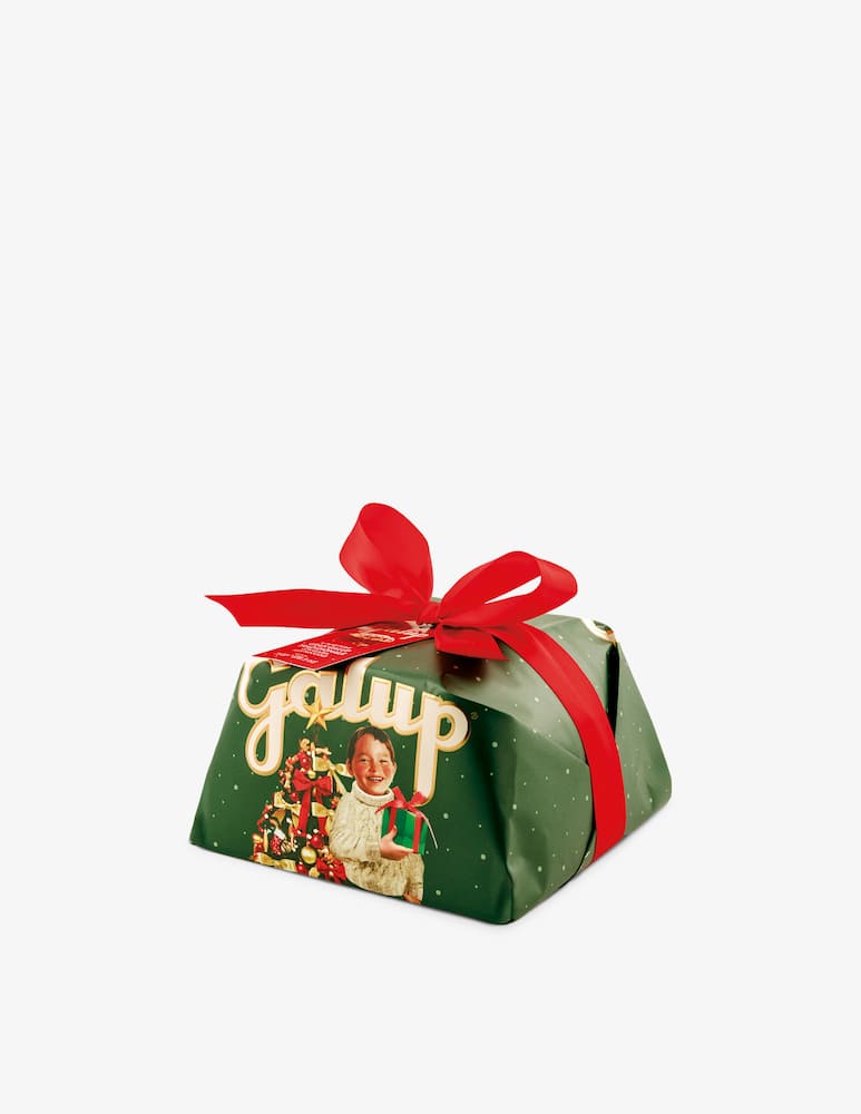 Galup Classic panettone Gran - picture 1