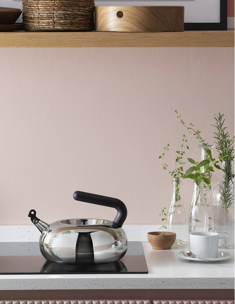 rinascente Alessi 100 Values Collection Bulbul Kettle 250cl - Grey