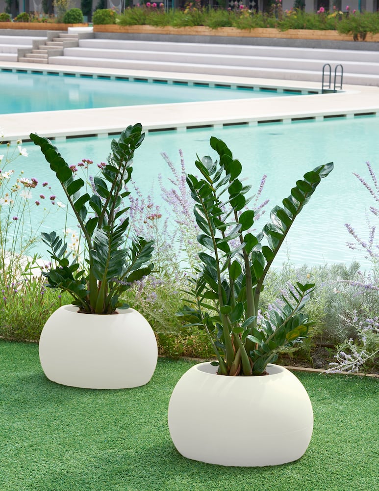 Slide Vaso Blos Pot - immagine 2 Slide Vaso Blos Pot - immagine 2