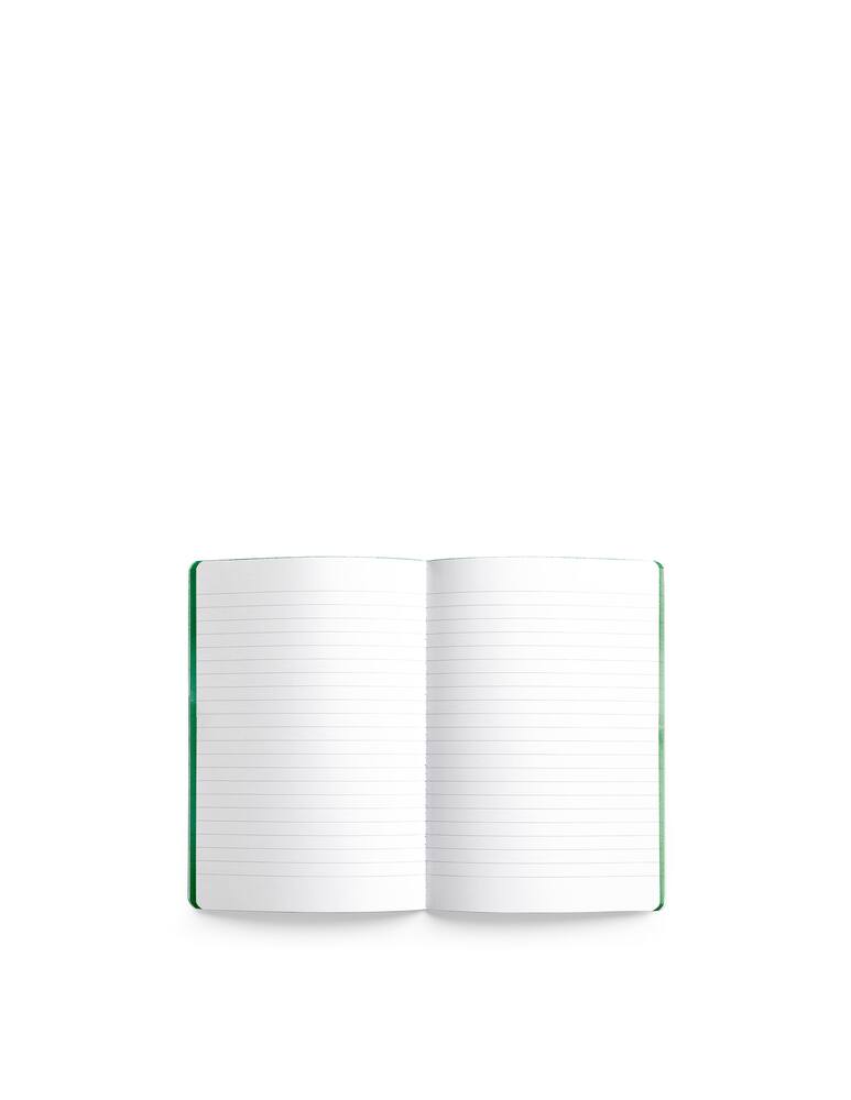 rinascente PdiPigna Ruled Singer Sewn Notebook  Enzo Mari Pear - Green