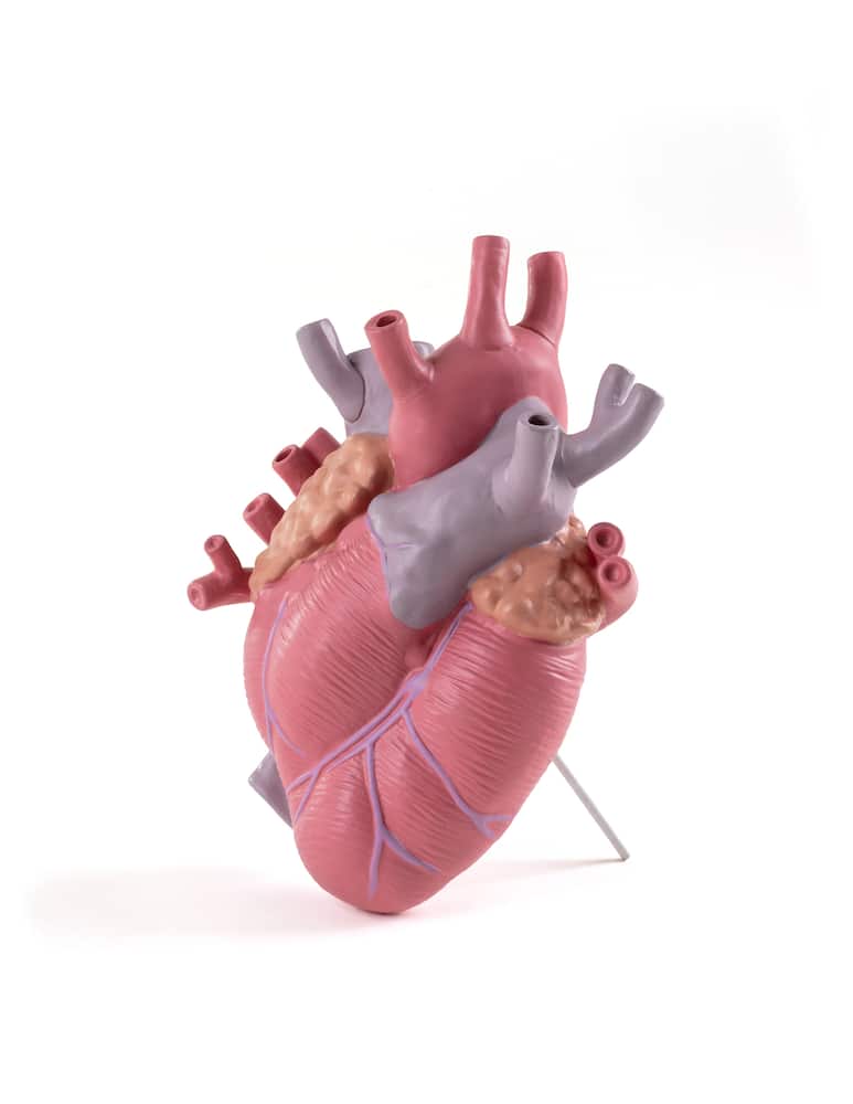 rinascente Seletti Love In Bloom -Color Vase - Multi