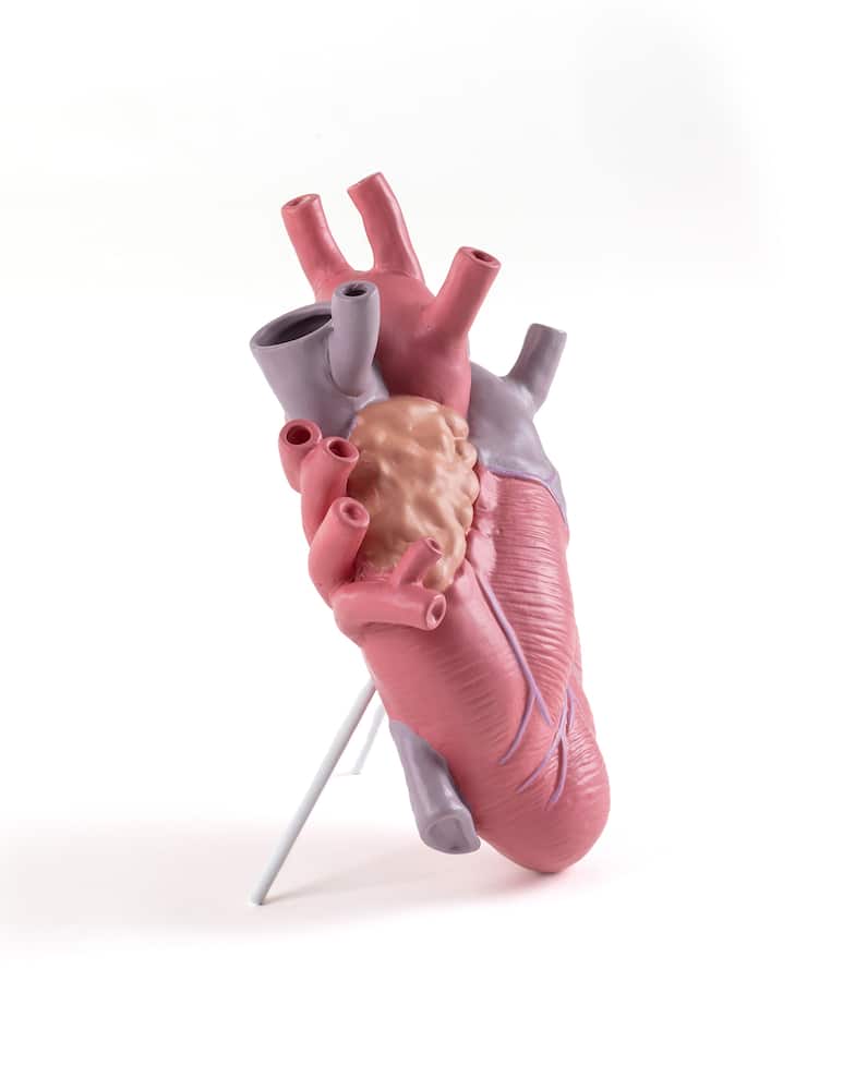 rinascente Seletti Love In Bloom -Color Vase - Multi