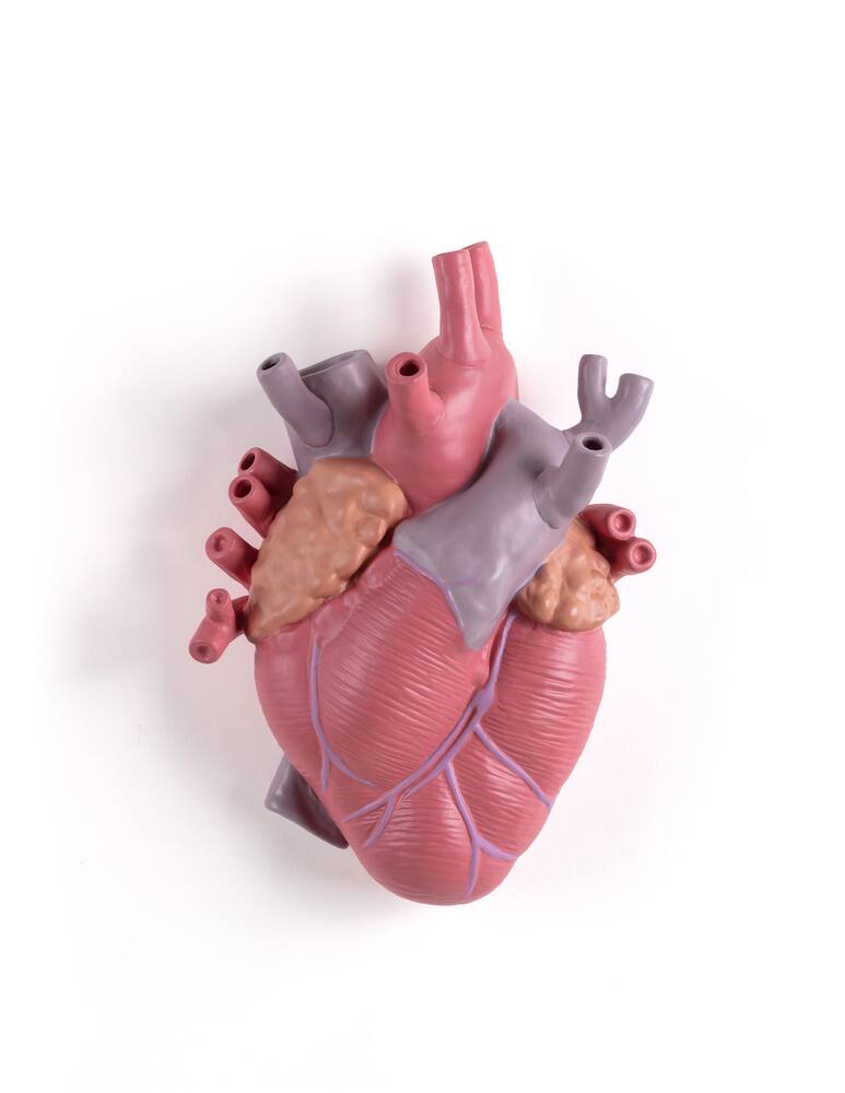 rinascente Seletti Love In Bloom -Color Vase - Multi