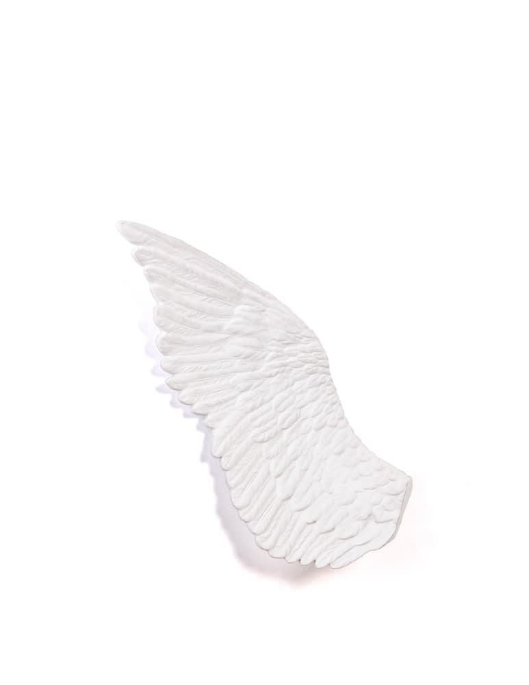 Seletti Fiberglass Memorabilia Mvsevm-Wings Right Cm.80X32 H.17 - immagine 3 Seletti Fiberglass Memorabilia Mvsevm-Wings Right Cm.80X32 H.17 - immagine 3