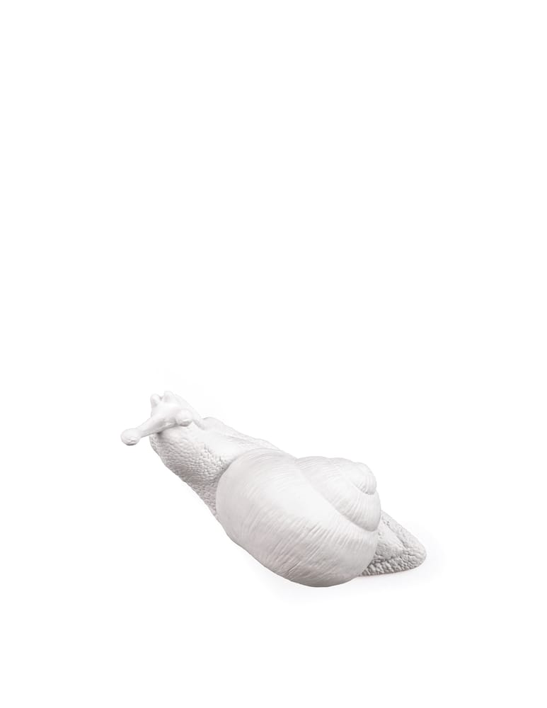 rinascente Seletti Awake Snail Coatrack - White