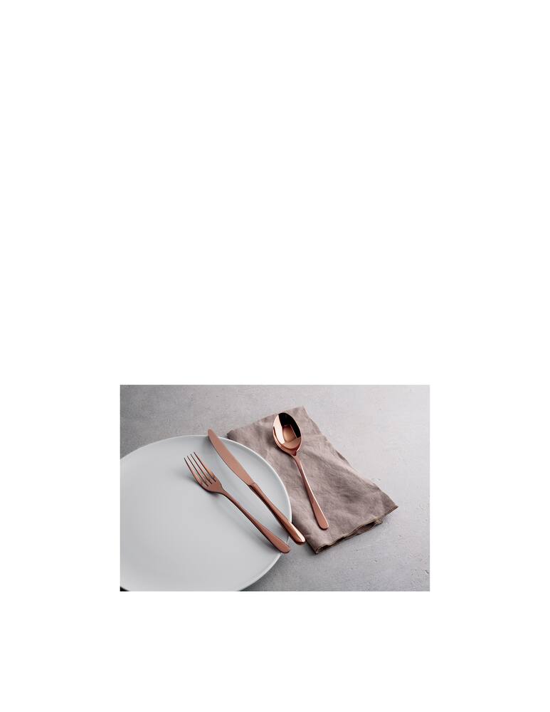 rinascente Sambonet Set 24 Pz Monoblocco Taste Pvd - Rame