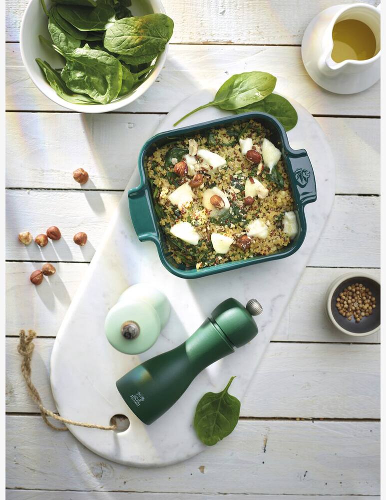 rinascente Peugeot Appolia Stoneware Square Baking Dish