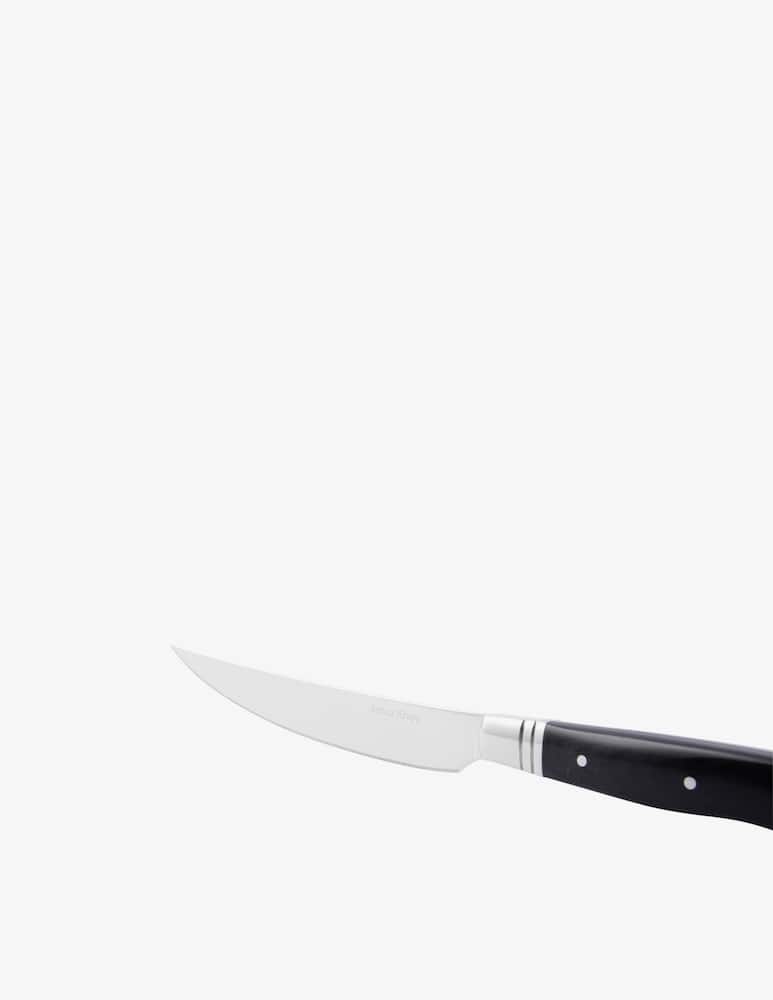 rinascente Arthur Krupp Coltello Bistecca