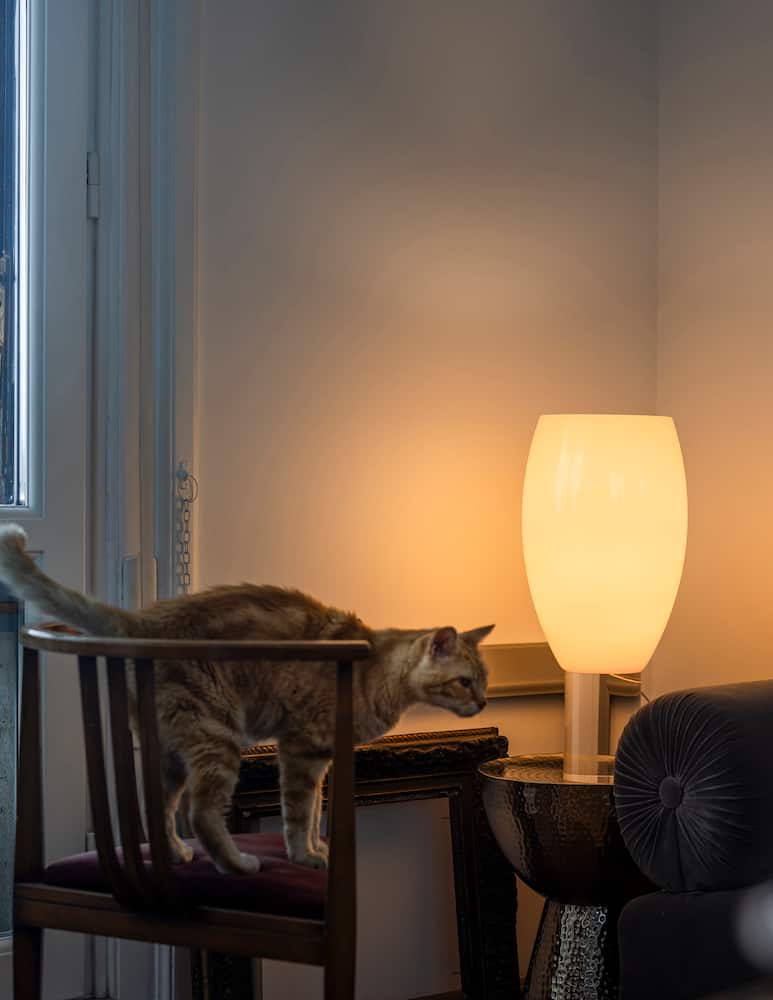 rinascente Foscarini Buds 1 Lampada da Tavolo