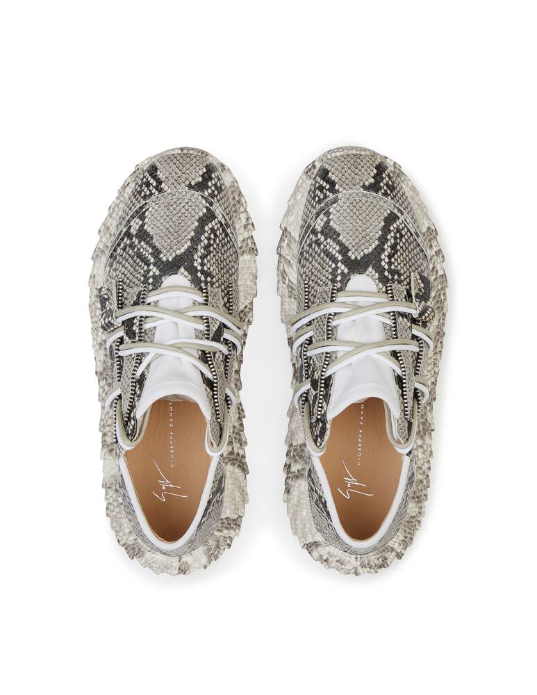 rinascente Giuseppe Zanotti Urchin