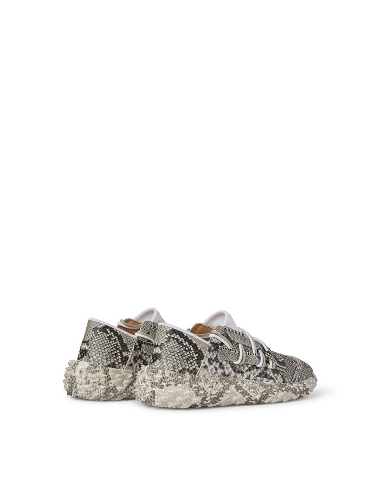 rinascente Giuseppe Zanotti Urchin