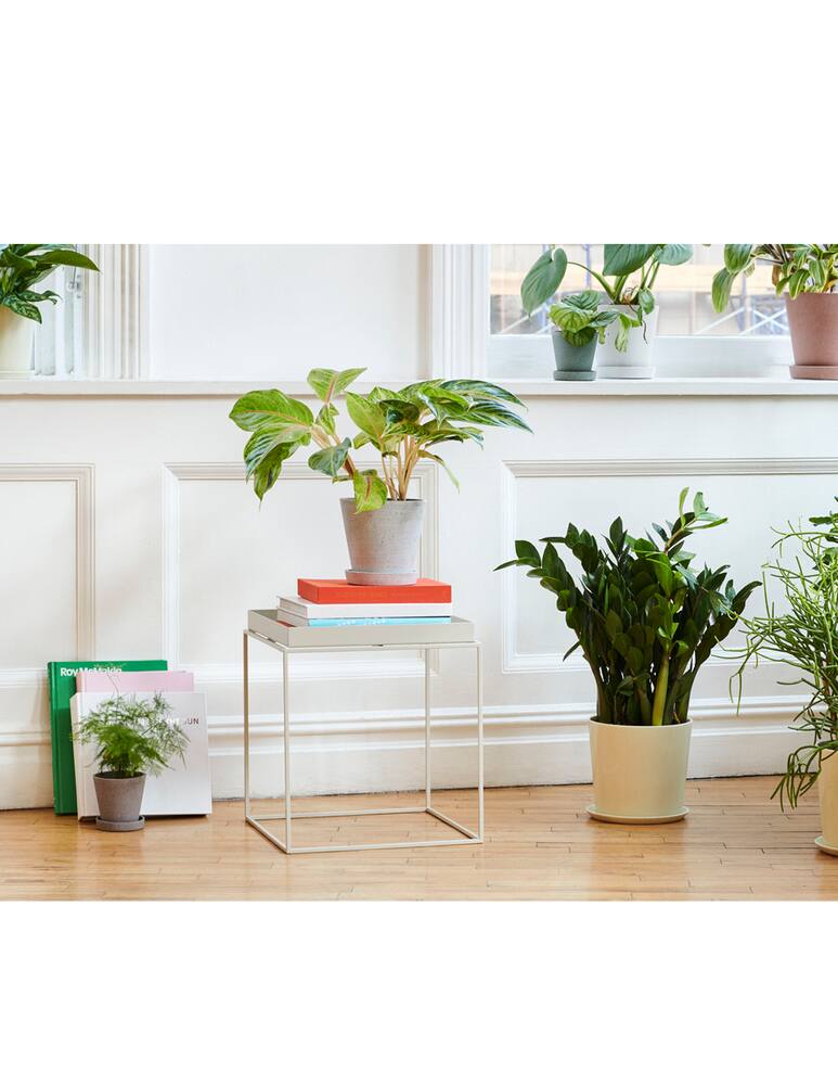 rinascente Hay Tray Table S - white