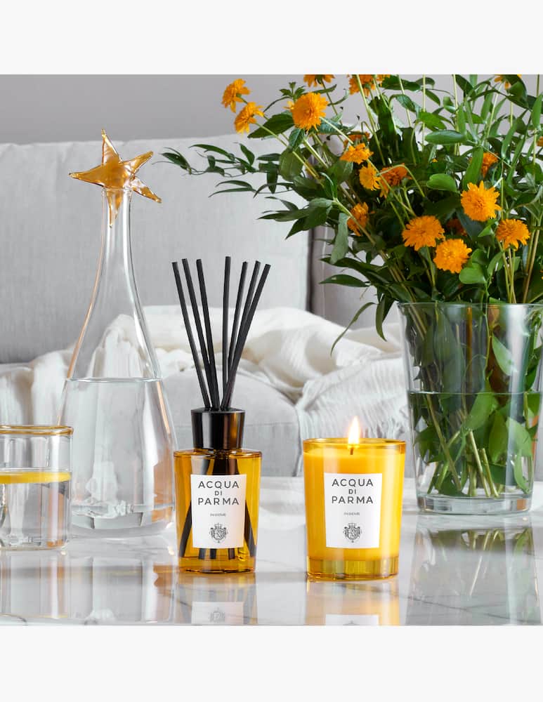 Acqua di Parma Insieme Diffusore d'Ambiente - immagine 3 Acqua di Parma Insieme Diffusore d'Ambiente - immagine 3