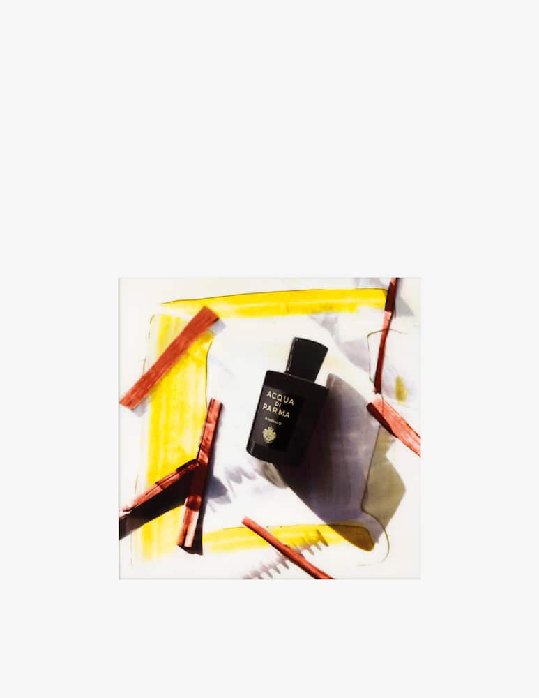 Acqua di Parma Sandalo Eau de Parfum 100 ml - immagine 4 Acqua di Parma Sandalo Eau de Parfum 100 ml - immagine 4