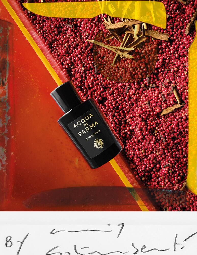 rinascente Acqua di Parma Oud & Spice Eau de Parfum 