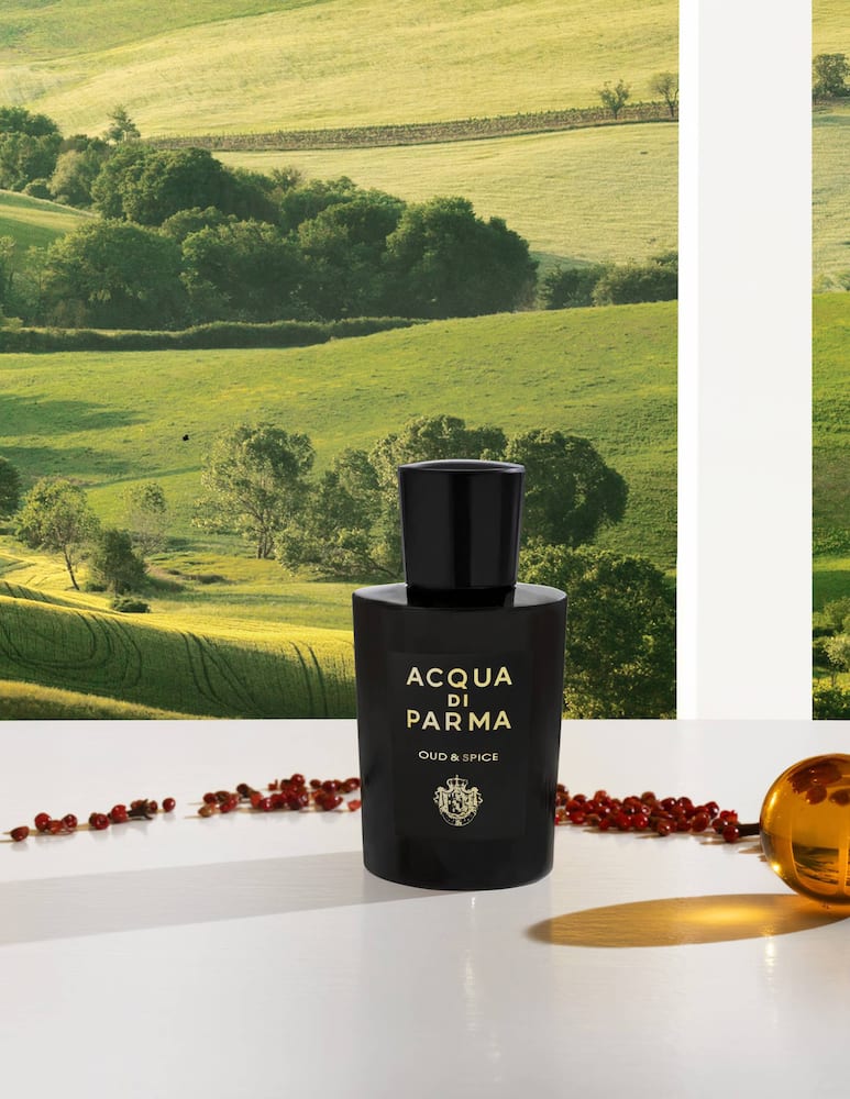 Acqua di Parma Oud & Spice Eau de Parfum - immagine 4 Acqua di Parma Oud & Spice Eau de Parfum - immagine 4