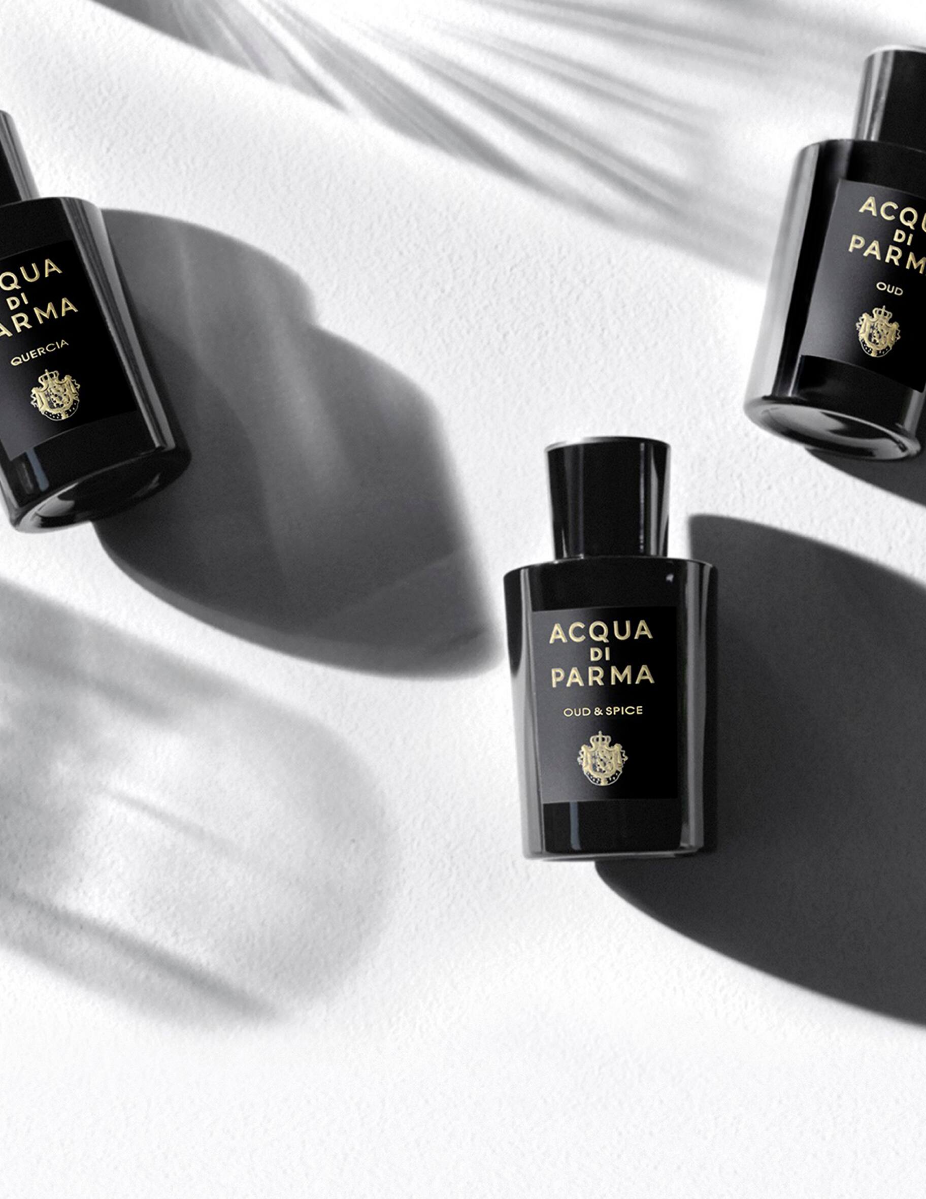 Shop Acqua di Parma Oud & Spice Eau de Parfum on Rinascente