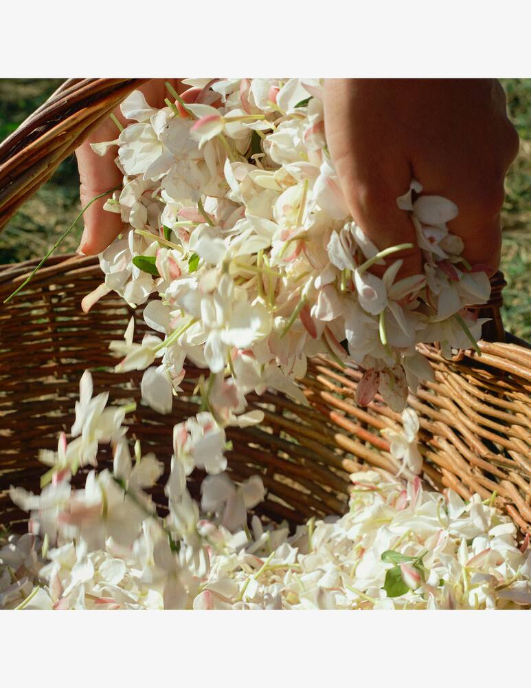 rinascente Acqua di Parma Gelsomino a Freddo  Eau de Parfum