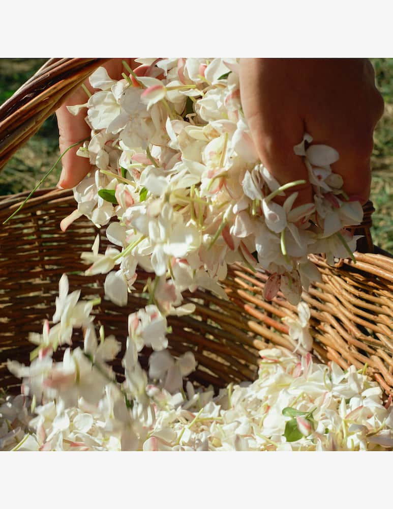 rinascente Acqua di Parma Gelsomino a Freddo  Eau de Parfum