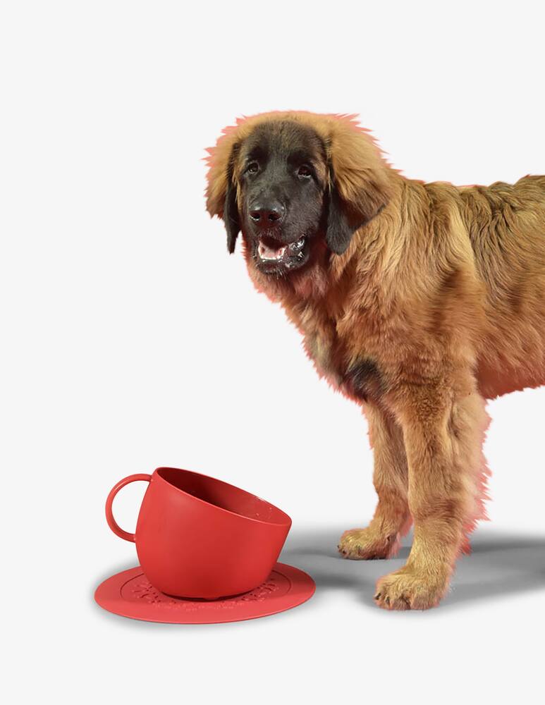 rinascente United Pets Plate - Bowl Mat